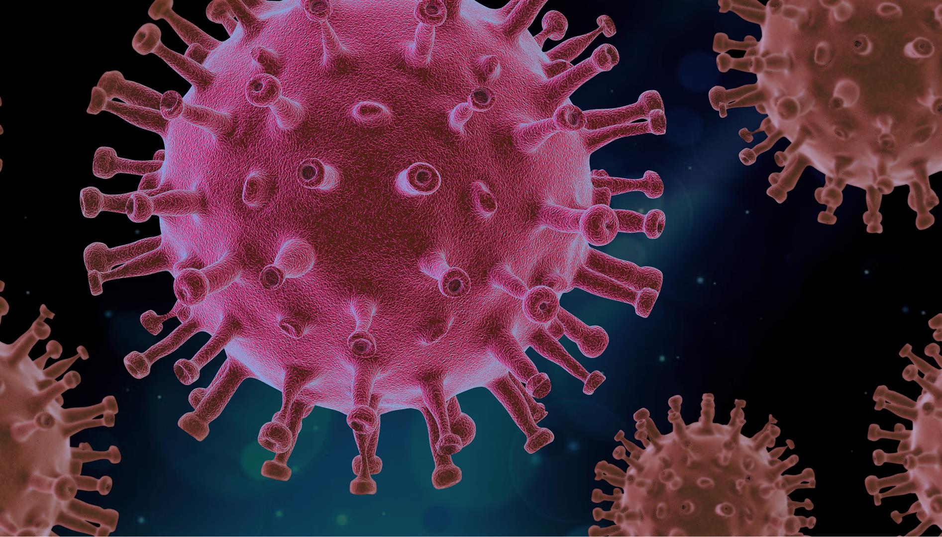 nomenu Covid- 19 bakterie 