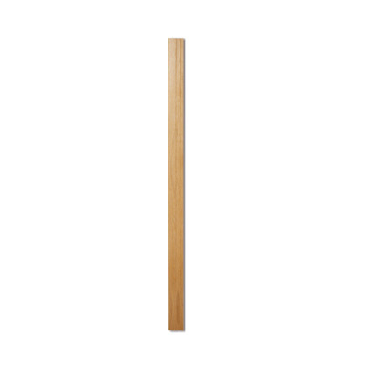 3134023.jpg