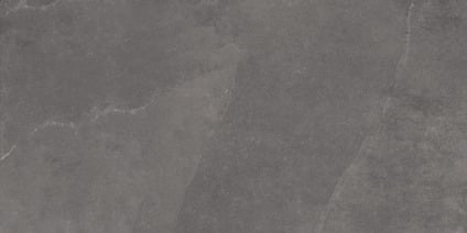 7631139.jpg