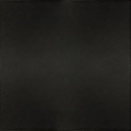 7631845.jpg