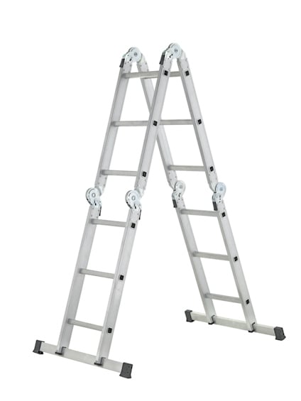 7653984.jpg