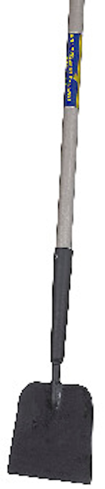 7910854.jpg