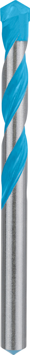 7915577.jpg