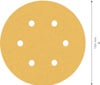 7916055.jpg