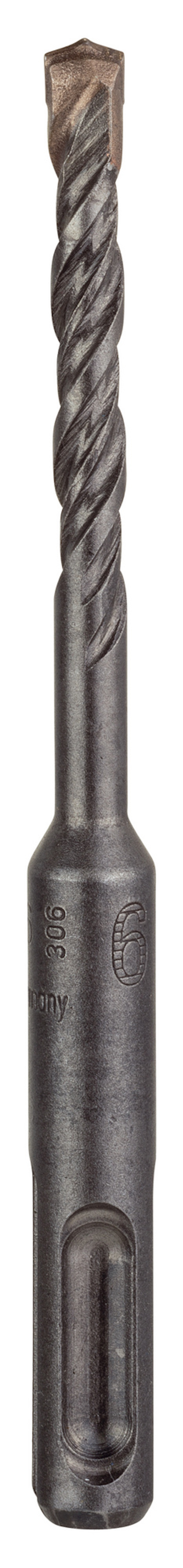 7917972.jpg