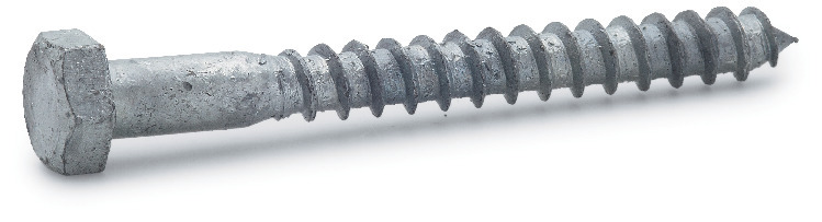 FRANSK TRÄSKRUV T6S VARMFÖRZINKAD - FAST