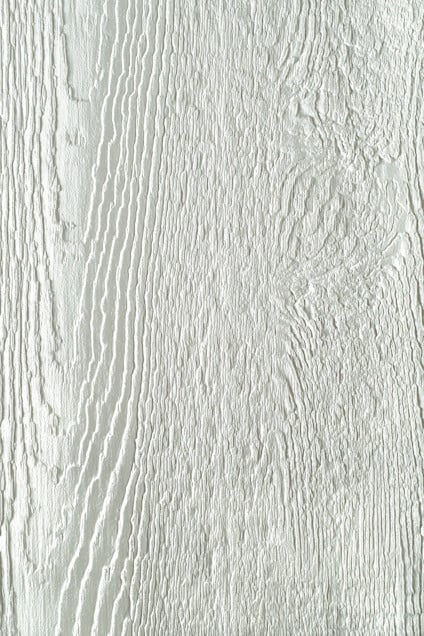 7966054.jpg