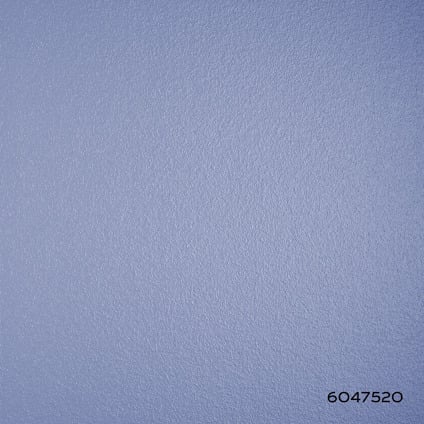 7996980.jpg