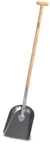 8023548.jpg