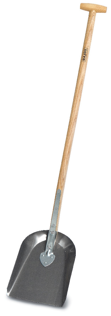 8023548.jpg