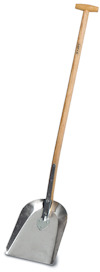 8023549.jpg