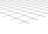 8066425.jpg