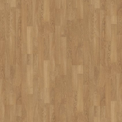 8066876.jpg