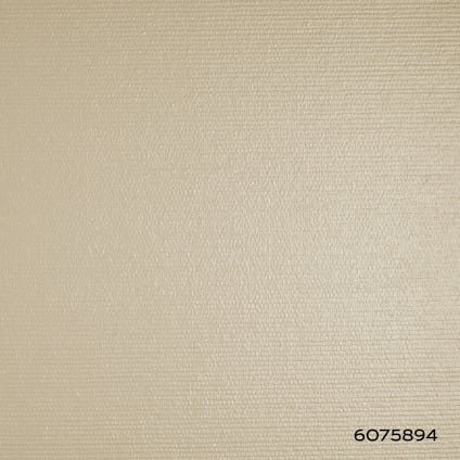 8074468.jpg