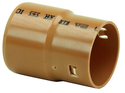 8077649.jpg