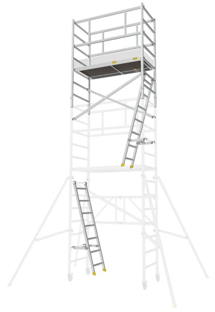 8080410.jpg