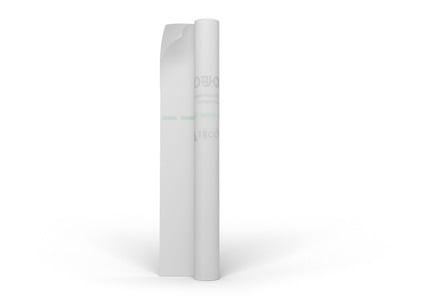 8084006.jpg