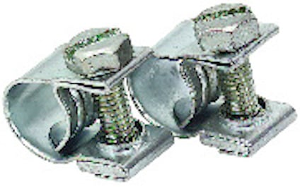 8097822.jpg