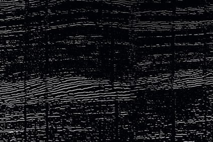 8132526.jpg