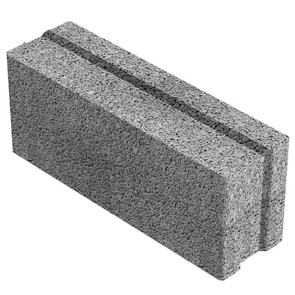 8152578.jpg