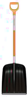 8168576.jpg