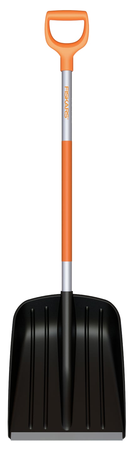 8168576.jpg