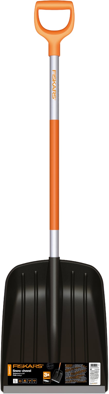 8168577.jpg