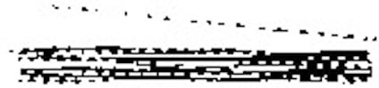 8177138.jpg