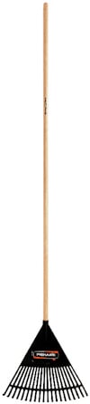 8195204.jpg