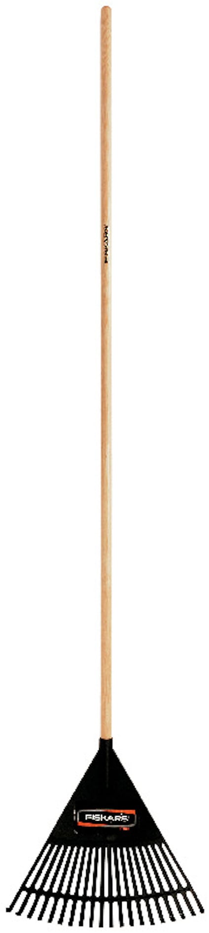 8195204.jpg