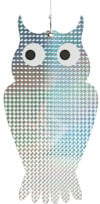8196167.jpg