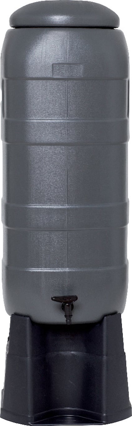 8196204.jpg