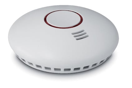 8200239.jpg