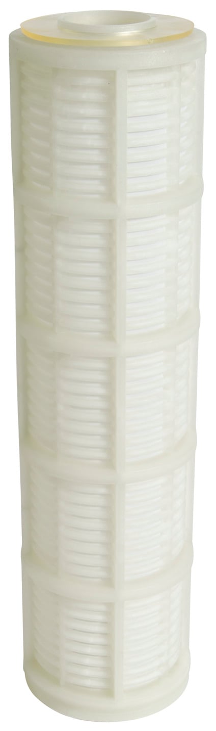 8215464.jpg
