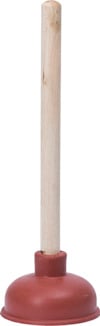8216040.jpg