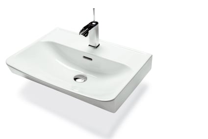 8248166.jpg