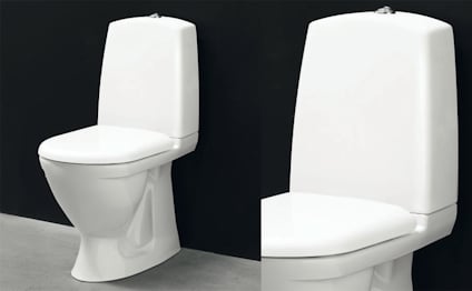 8248747.jpg