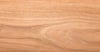 8254205.jpg