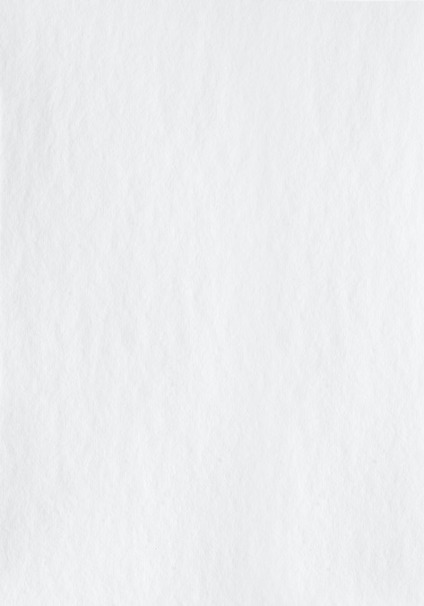8270344.jpg